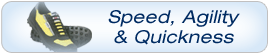 Speed Agility Quickness DVDs