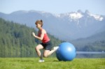 Stability Training Equipment